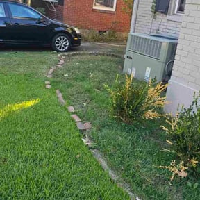 Flower Bed Weeding by Michael Norman Lawn reviewed on October 18, 2025