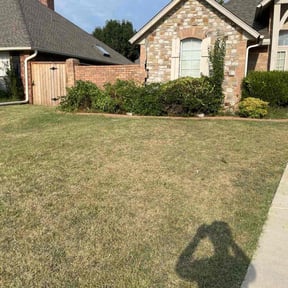 Bush Trimming by Green thumb mowers lawn care reviewed on November 24, 2025