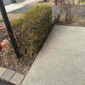 Bush Trimming by Gators Home Improvements LLC reviewed on April 9, 2026