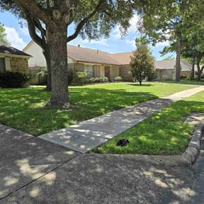landscaping by TNT Lawn Care reviewed on August 16, 2025
