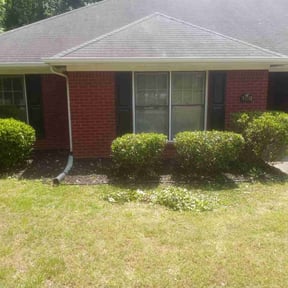 Bush Trimming by Jose Perez Landscaping reviewed on August 15, 2025