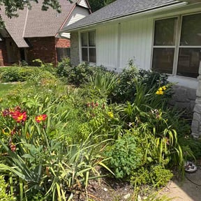 Flower Bed Weeding by JJ’s Lawn Care reviewed on July 9, 2026