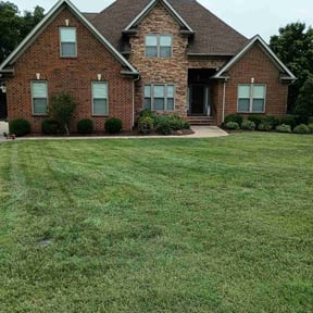 lawn maintenance by Sample cuts n co. reviewed on October 2, 2023