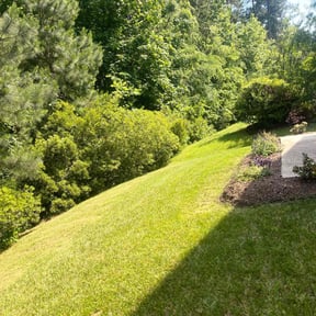 gardening service by Bruce Lawn Service reviewed on August 19, 2025