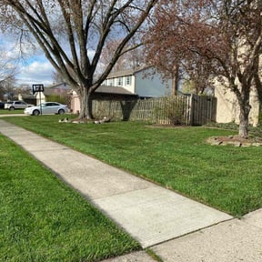 turf maintenance by Happytime Lawncare reviewed on May 31, 2025