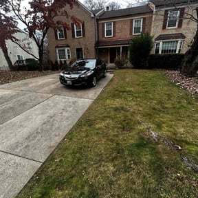 Leaf Removal by CL Lawn &amp; Landscape LLC reviewed on November 19, 2025