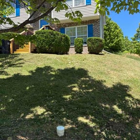 Bush Trimming by McCrary Lawncare Solutions reviewed on May 12, 2026