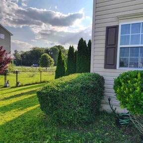 Bush Trimming by Crutchfield’s lawn care reviewed on October 20, 2025
