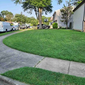 grass maintenance by Ángel landscaping tree service reviewed on August 19, 2025