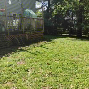 Leaf Removal by Kenjtllc reviewed on September 29, 2025