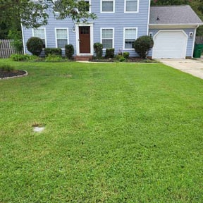 Bush Trimming by Aidens Construction reviewed on August 16, 2025