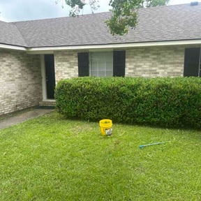 Bush Trimming by Chad's Mowing Service reviewed on May 11, 2026