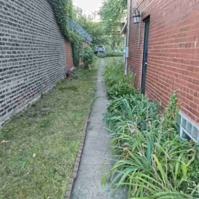 Bush Trimming by Jolo property Management reviewed on August 15, 2025