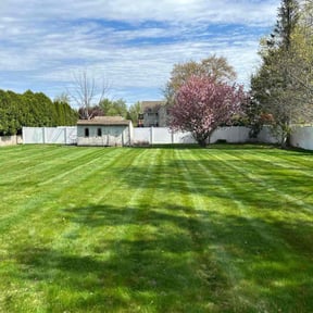 lawn maintenance by Tom's Lawn and Maintenance reviewed on August 18, 2025