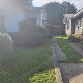 Bush Trimming by AG lawn service reviewed on August 20, 2025