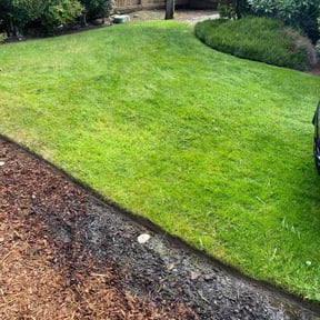grass cutting by JC Landscape Seattle reviewed on May 24, 2025
