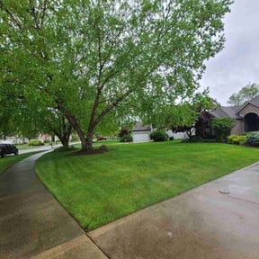 gardening service by Tony's lawn services/Plowing reviewed on August 21, 2025