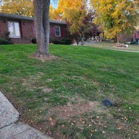 Leaf Removal by Escobar lawn care service reviewed on November 22, 2025
