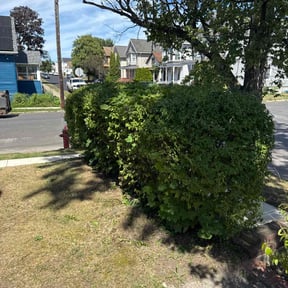 Bush Trimming by Mower man reviewed on November 22, 2025