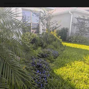 lawn care services by Lawn Barber reviewed on August 7, 2025