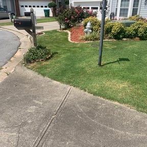 Bush Trimming by EV Great Valley Landscaping,LLC. reviewed on August 18, 2025