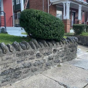 Bush Trimming by YardPro reviewed on August 18, 2025