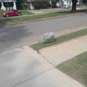 Bush Trimming by Unknown reviewed on August 18, 2025
