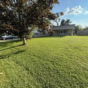 turf maintenance by Brown Lawn and Landscape L.L.C. reviewed on August 9, 2024