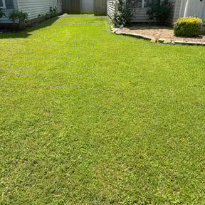 yard work by Gittens Property Management, LLC reviewed on August 18, 2025