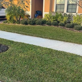 yard maintenance by Charleston Elite Lawn Care llc reviewed on August 21, 2025