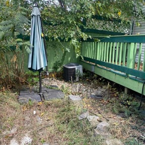 Bush Trimming by Grass Daddy Lawn Services reviewed on November 10, 2025