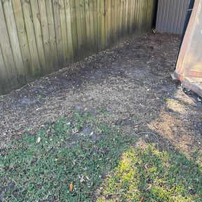 Leaf Removal by Lawn services JAV reviewed on March 22, 2026