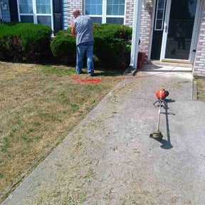 Bush Trimming by Planet one landscape & Lawncare, LLC reviewed on August 17, 2025