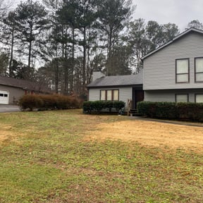 Bush Trimming by Moebetter landscaping llc reviewed on August 19, 2025