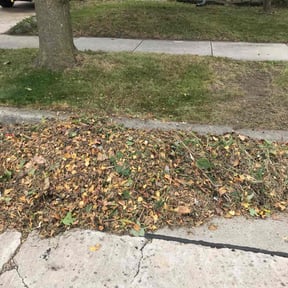 Leaf Removal by Better Price Lawn Service of Central Florida, LLC reviewed on October 22, 2025