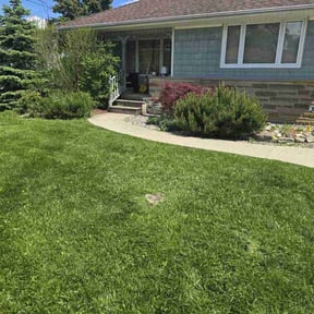 yard work by Rivercity Landscaping reviewed on August 18, 2025