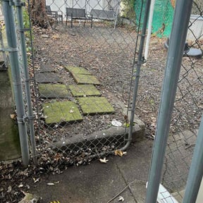 Leaf Removal by Jjecofriendly reviewed on December 23, 2025