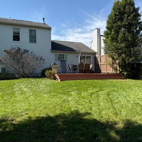 yard maintenance by Starlings Lawn Care LLC reviewed on January 4, 2026