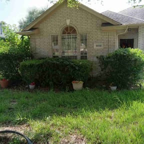 Bush Trimming by Reil Lawn Company LLC reviewed on August 17, 2025