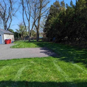 lawn maintenance by Four Seasons Landscape reviewed on May 23, 2023