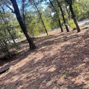 Leaf Removal by Starview lawncare reviewed on November 6, 2025