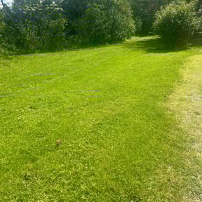 Lawn Mowing by McGuire Lawn &amp; Leaf reviewed on August 20, 2025