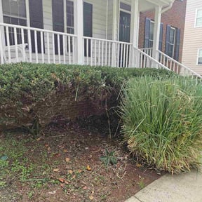 Bush Trimming by Tropilawn Landscaping reviewed on June 30, 2025