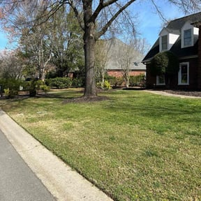 yard care by Jlt Lawn Care reviewed on August 21, 2025