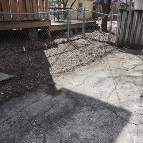 Leaf Removal by Larissa Beaty reviewed on September 8, 2025