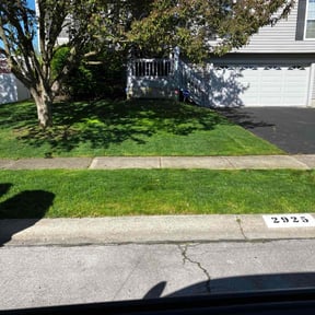 yard maintenance by Spring up fall down gardens reviewed on November 23, 2025