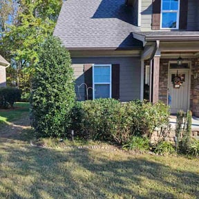 Bush Trimming by Philipp's Property Maintenance LLC reviewed on November 18, 2025