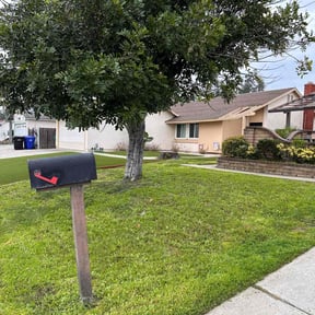turf care by Wright Now Landscaping L.L.C reviewed on May 7, 2024