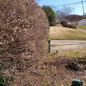 Bush Trimming by J's Lawn and Landscaping reviewed on August 21, 2025
