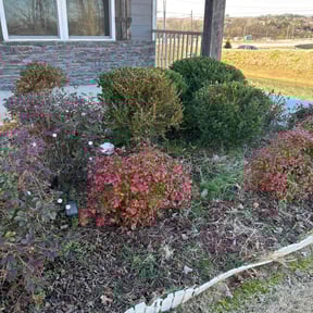 Bush Trimming by Perfect image lawn service of  Georgia reviewed on December 18, 2025